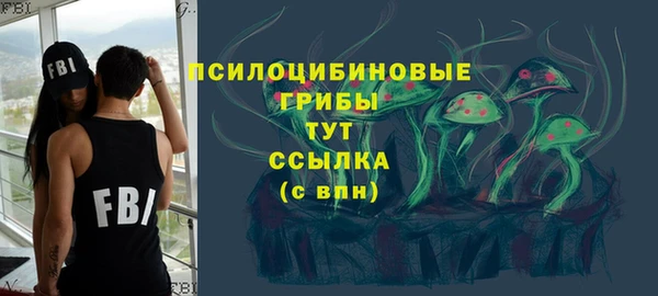 тгк Бородино