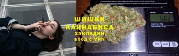 стаф Володарск