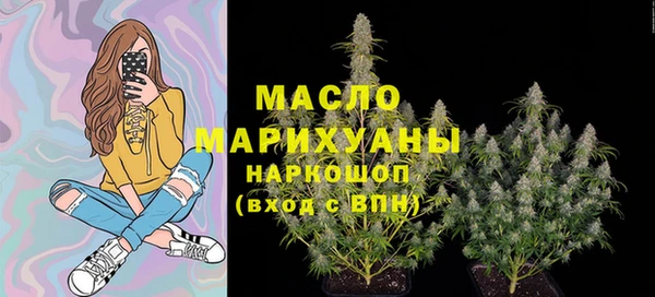 тгк Бородино