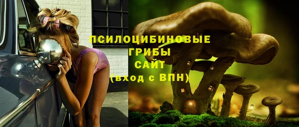 стаф Володарск