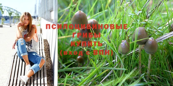 spice Волосово