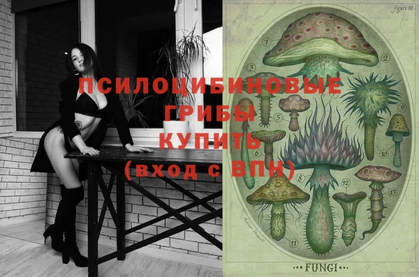 стаф Бугульма
