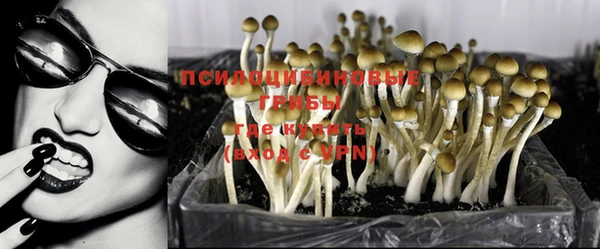 тгк Бородино