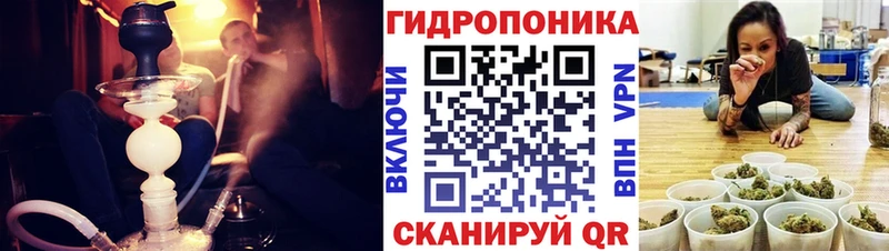 Бошки марихуана Amnesia  как найти закладки  Истра 
